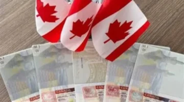 أبرز المستندات المطلوبة.. طريقك لتفادي رفض طلب تأشيرة كندا وضمان قبول ملفك الشخصي